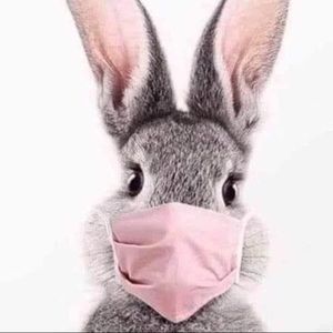 Meet your Posher, Darla